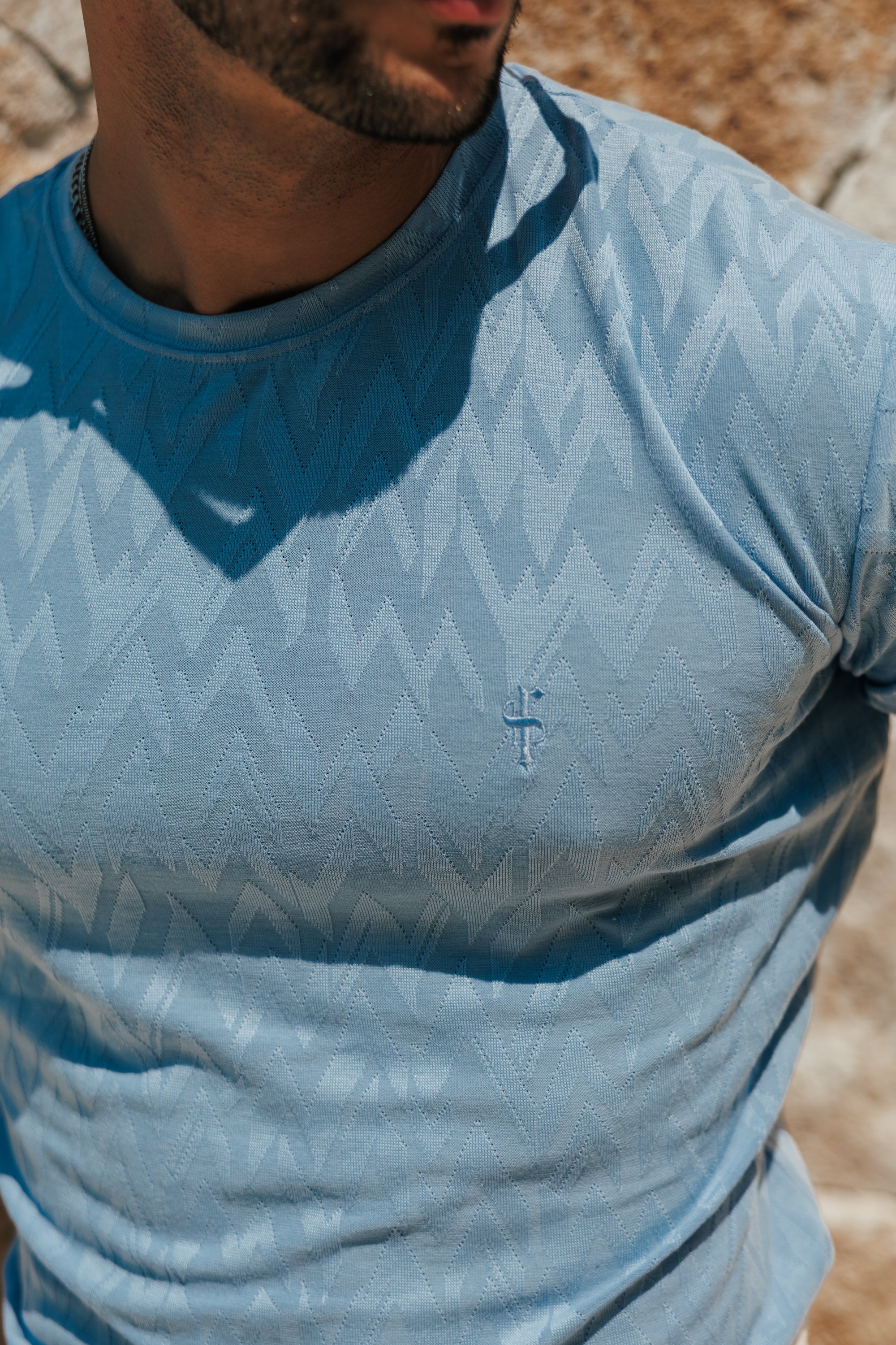 Regular Fit Jacquard Baby Blue Chevron T-Shirt - FSR064