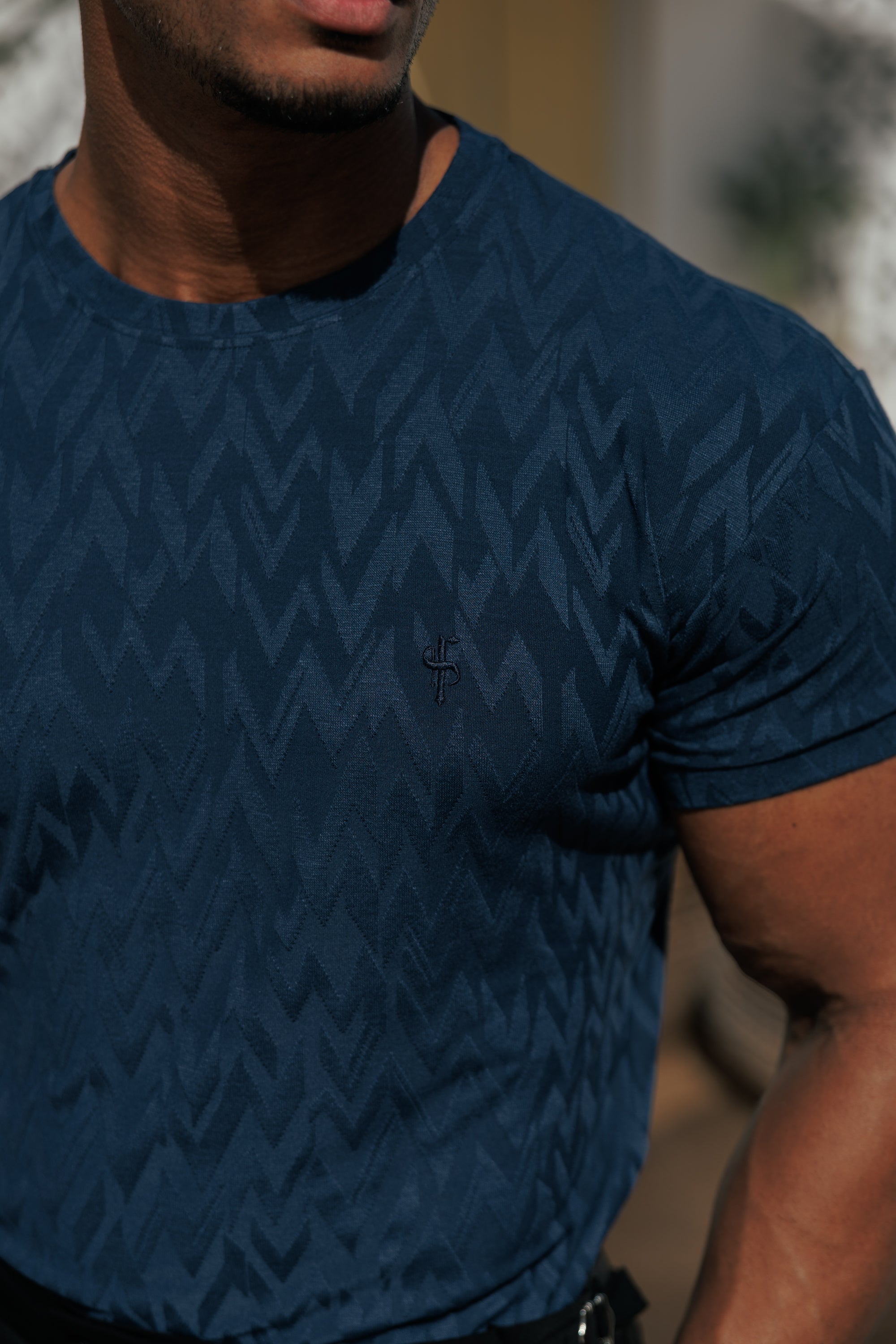 Regular Fit Jacquard Navy Chevron T-Shirt - FSR048