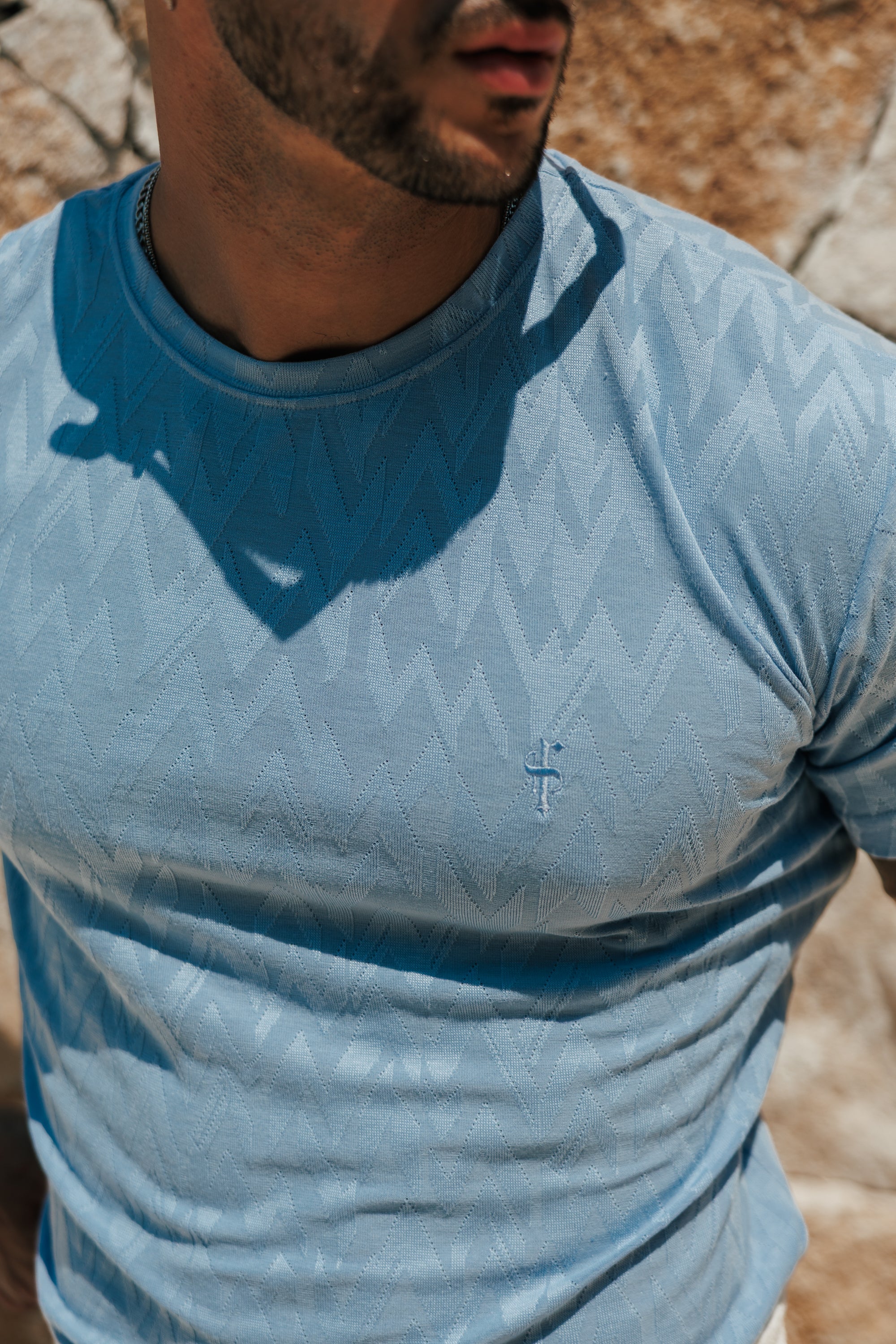 Regular Fit Jacquard Hellblaues Chevron T-Shirt – FSR064